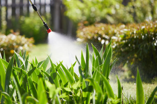 24/7 Emergency Termite Control experts in Ceresco, NE